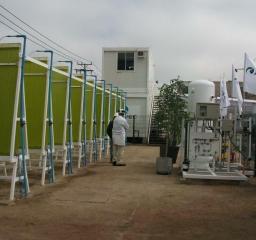 carbon capture microalgae biomass photobioreactor CO₂ SOx NOx biocapture